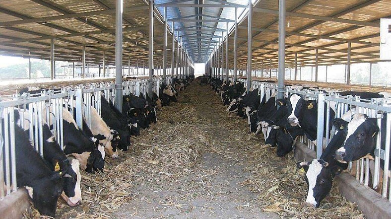 艾思捷定制款PGV035系列減速機--應用在畜牧業、飼料行業 (2).jpg